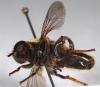 254414 – Photo : Arthropa - Benoit Martha – France (18)